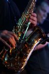 CRW_4034.jpg